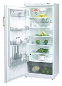 Fagor 1FSC-18 EL Холодильник фото