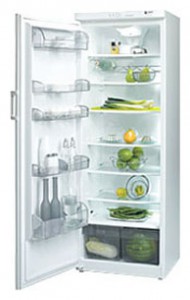 Fagor 1FSC-19 EL Холодильник фото