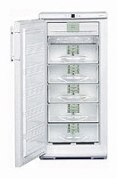 Liebherr GN 2413 Холодильник фото