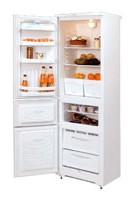 NORD 184-7-021 Холодильник Фото