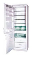 Snaige RF360-1671A Refrigerator larawan