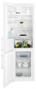 Electrolux EN 3852 JOW Холодильник фото