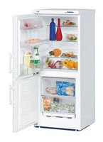 Liebherr CU 2221 Холодильник Фото