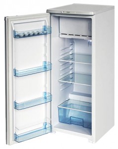Бирюса R110CA Refrigerator larawan