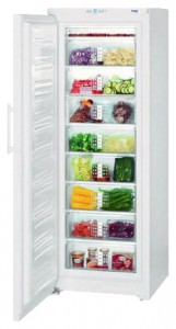 Liebherr G 4013 Холодильник фото