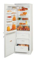 ATLANT МХМ 1817-23 Refrigerator larawan