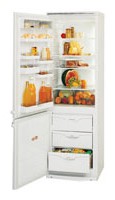 ATLANT МХМ 1804-21 Tủ lạnh ảnh