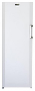 BEKO FN 127920 Refrigerator larawan