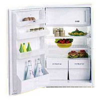 Zanussi ZI 7163 Холодильник Фото
