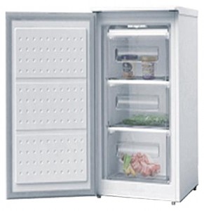 Wellton GF-80 Холодильник фото
