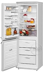 ATLANT МХМ 1709-00 Холодильник Фото