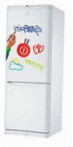 Indesit BEAA 35 P graffiti 冰箱