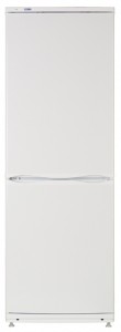 ATLANT ХМ 4012-022 Tủ lạnh ảnh