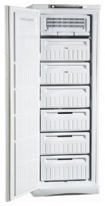 Indesit SFR 167 NF Refrigerator larawan
