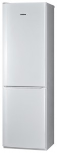 Pozis RD-149 Refrigerator larawan