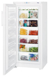 Liebherr G 3013 Холодильник Фото
