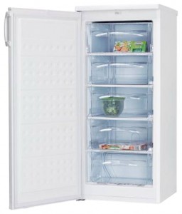 Hansa FZ206.3 Tủ lạnh ảnh