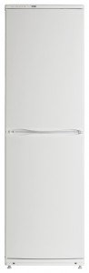 ATLANT ХМ 6093-031 Tủ lạnh ảnh