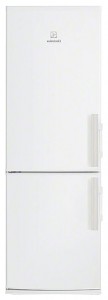 Electrolux EN 4000 ADW Холодильник Фото