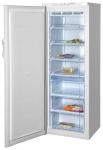 NORD 158-020 Холодильник фото