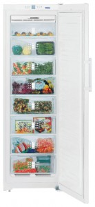 Liebherr SGN 3010 Refrigerator larawan