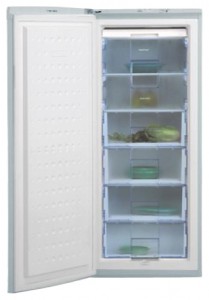 BEKO FSA 21320 Холодильник Фото