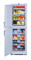 Liebherr BGND 2986 Холодильник Фото