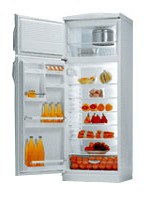 Gorenje K 317 CLB Холодильник фото
