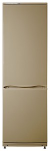 ATLANT ХМ 6024-050 Refrigerator larawan
