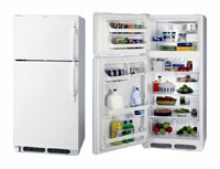 Frigidaire FGTG 16V6 A Холодильник фото
