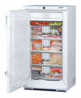 Liebherr GSN 2026 Tủ lạnh ảnh