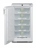 Liebherr GSS 2226 Холодильник Фото
