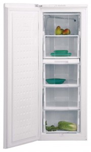 BEKO FSE 21906 Refrigerator larawan
