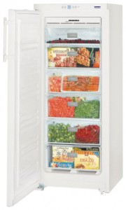 Liebherr GNP 2303 Tủ lạnh ảnh