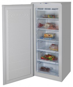 NORD 155-3-410 Холодильник Фото