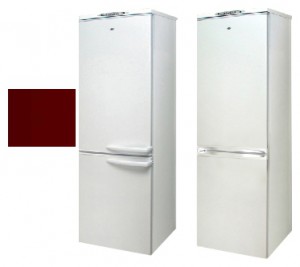 Exqvisit 291-1-3005 Холодильник фото