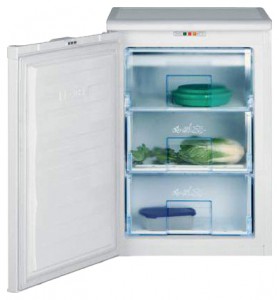 BEKO FSE 1070 Tủ lạnh ảnh