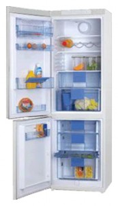 Hansa FK320MSW Refrigerator larawan