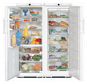 Liebherr SBS 6102 Refrigerator larawan