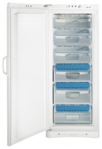 Indesit UFAAN 300 Refrigerator larawan