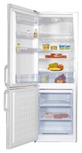 BEKO CS 238020 Tủ lạnh ảnh