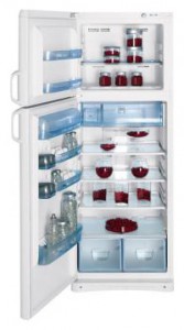 Indesit TAN 5 FNF S Tủ lạnh ảnh