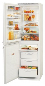 ATLANT МХМ 1805-00 Refrigerator larawan