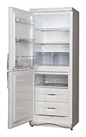 Snaige RF300-1101A Kühlschrank Foto