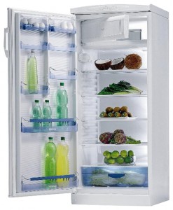 Gorenje RB 6288 W Холодильник фото
