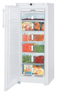 Liebherr GN 2313 Холодильник фото