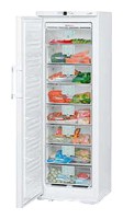 Liebherr GN 3066 Холодильник Фото