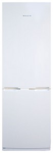 Snaige RF31SH-S10001 Холодильник Фото