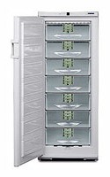 Liebherr GSP 3126 Tủ lạnh ảnh