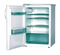Snaige C140-1101A Refrigerator larawan
